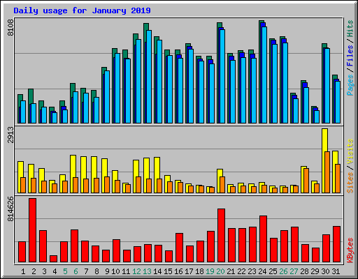 Daily usage for January 2019
