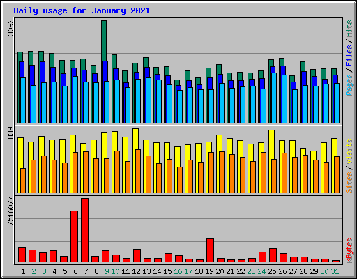 Daily usage for January 2021
