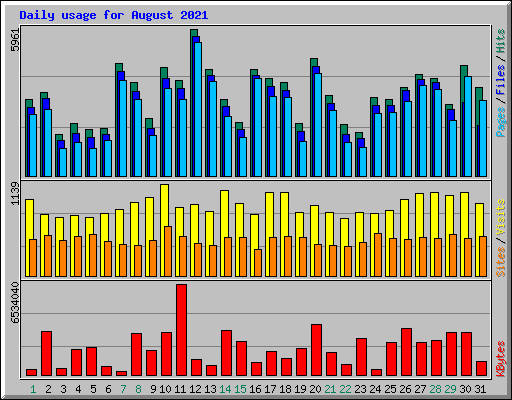 Daily usage for August 2021