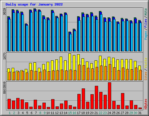 Daily usage for January 2022