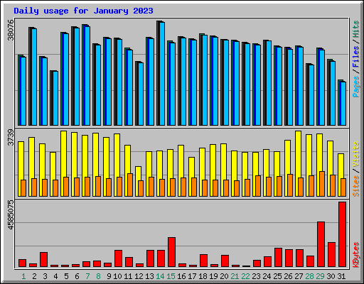 Daily usage for January 2023