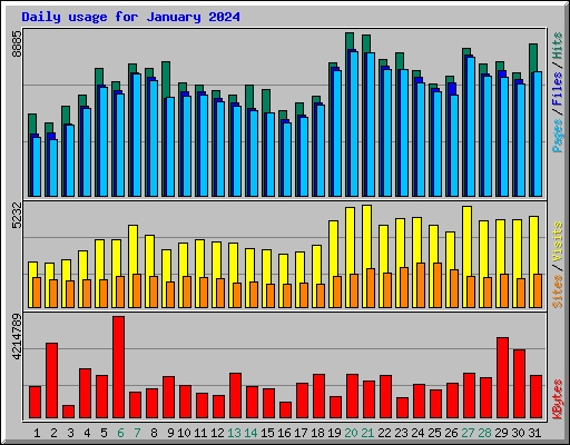 Daily usage for January 2024