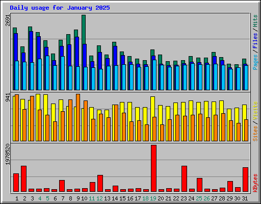 Daily usage for January 2025