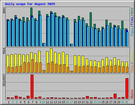 Daily usage for August 2025