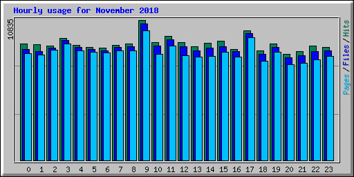 Hourly usage for November 2018