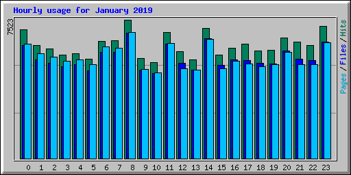 Hourly usage for January 2019