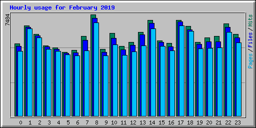 Hourly usage for February 2019