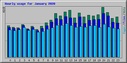 Hourly usage for January 2020