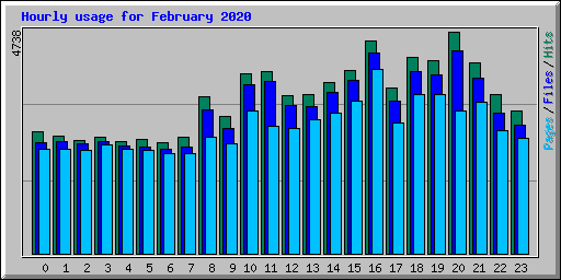 Hourly usage for February 2020