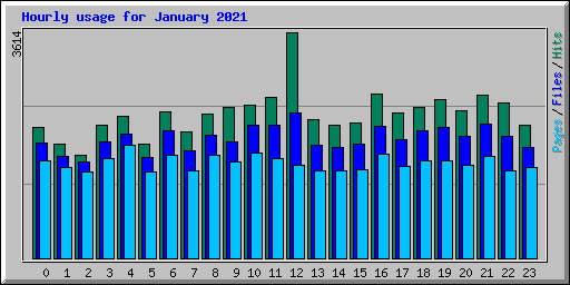 Hourly usage for January 2021