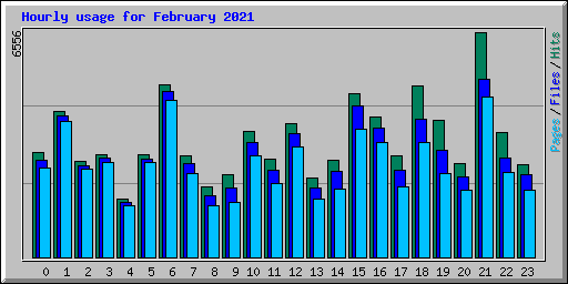 Hourly usage for February 2021