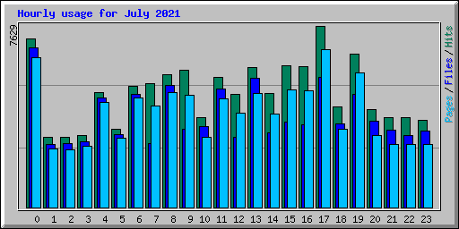 Hourly usage for July 2021