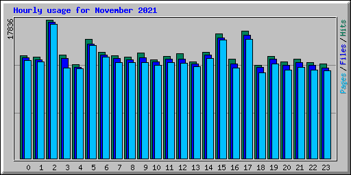 Hourly usage for November 2021