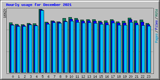 Hourly usage for December 2021