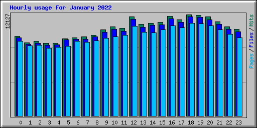 Hourly usage for January 2022
