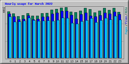 Hourly usage for March 2022