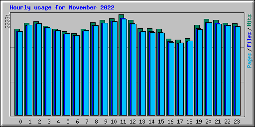 Hourly usage for November 2022