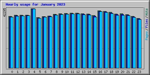 Hourly usage for January 2023