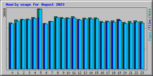 Hourly usage for August 2023