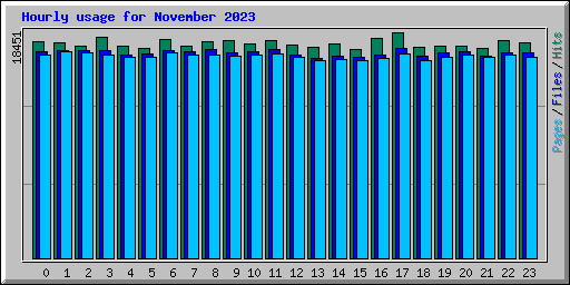 Hourly usage for November 2023