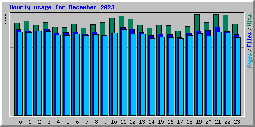 Hourly usage for December 2023
