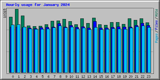 Hourly usage for January 2024