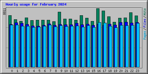 Hourly usage for February 2024