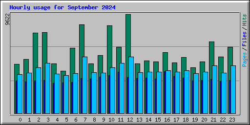 Hourly usage for September 2024