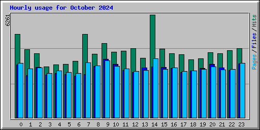 Hourly usage for October 2024