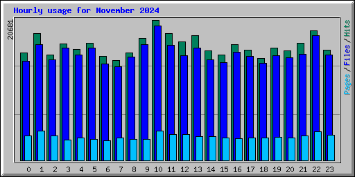 Hourly usage for November 2024