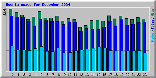 Hourly usage for December 2024