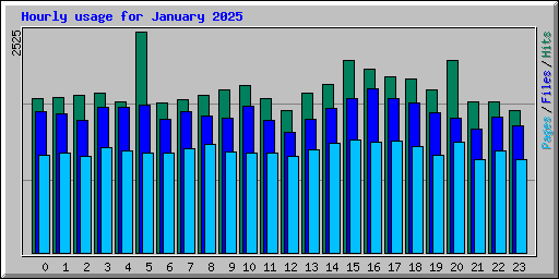 Hourly usage for January 2025