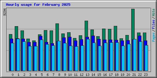 Hourly usage for February 2025