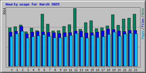 Hourly usage for March 2025