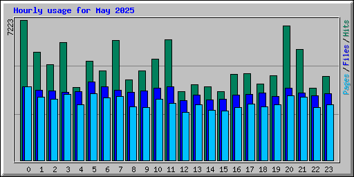 Hourly usage for May 2025