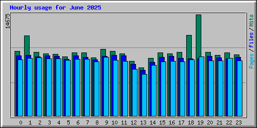 Hourly usage for June 2025