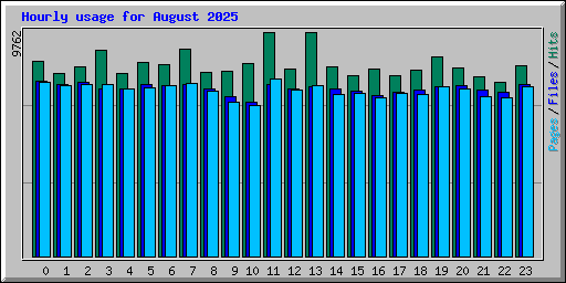 Hourly usage for August 2025