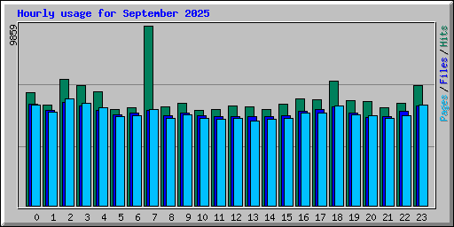 Hourly usage for September 2025