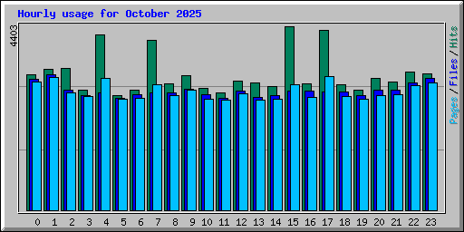 Hourly usage for October 2025